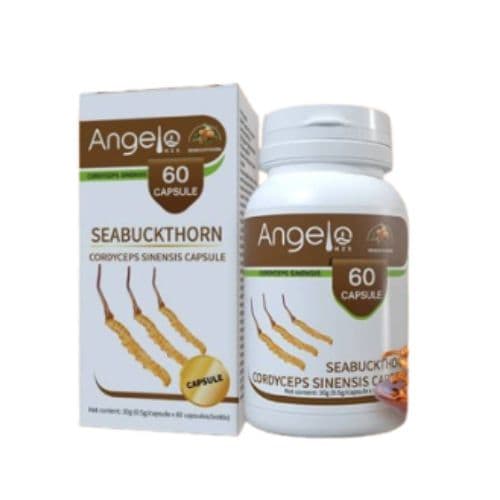 Argousier Cordyceps Sinensis ANGELO HZS, Renforce l'immunité, 60 Capsules 30g