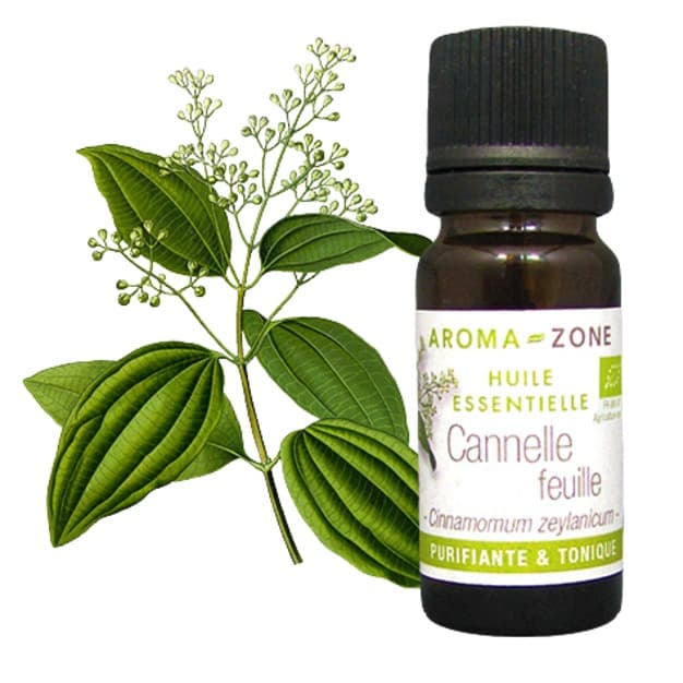 Huile essentielle de Cannelle de Ceylan BIO AROMA-ZONE Pour Puissance, Chaleur &amp; Protection naturelle